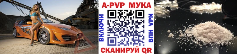 где купить   Тосно  Alfa_PVP мука 