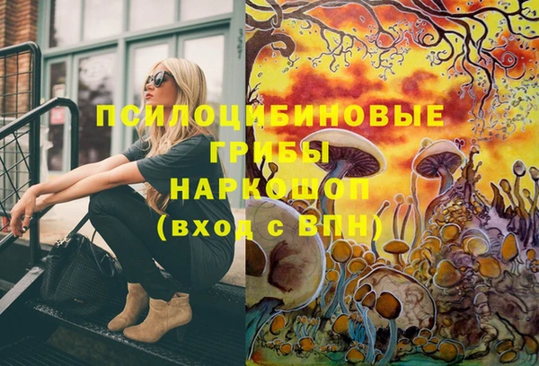кокаин Горнозаводск