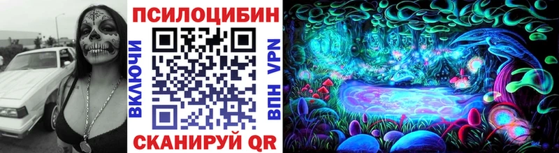 Псилоцибиновые грибы GOLDEN TEACHER Тосно