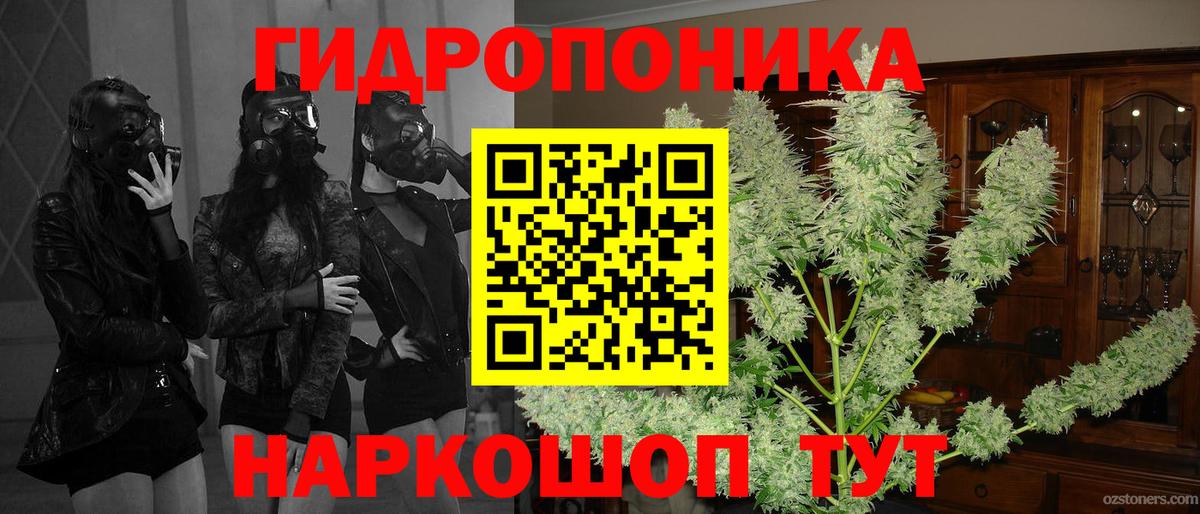 Канабис сатива Тосно